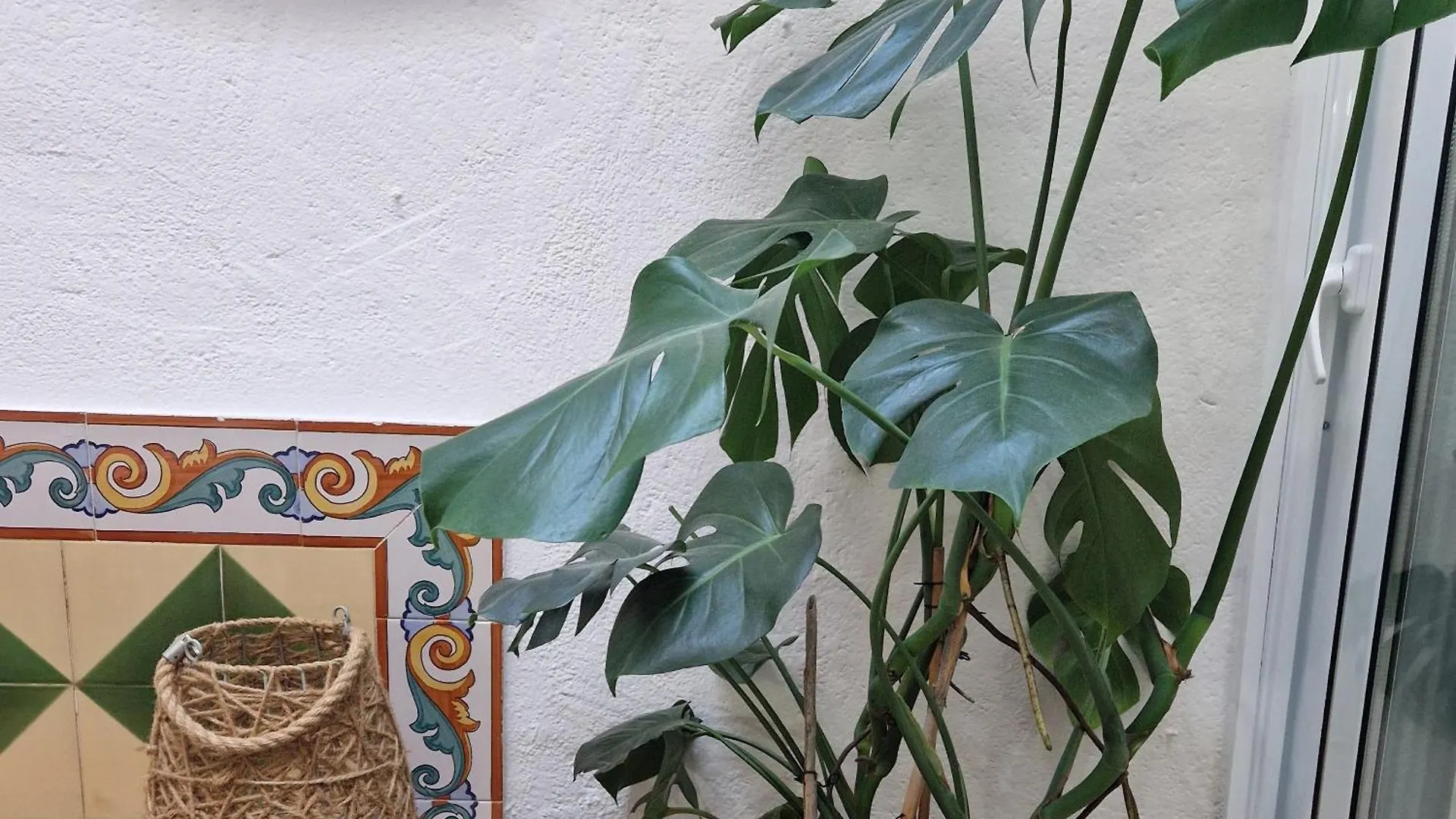 Ca La Teia Apartman Bellcaire d'Empordà Spanyolország